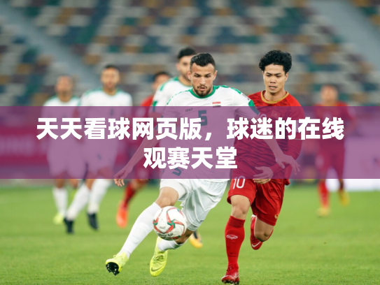 天天看球网页版，球迷的在线观赛天堂
