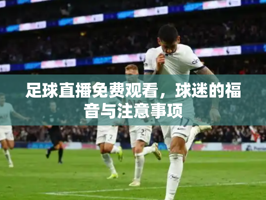足球直播免费观看，球迷的福音与注意事项