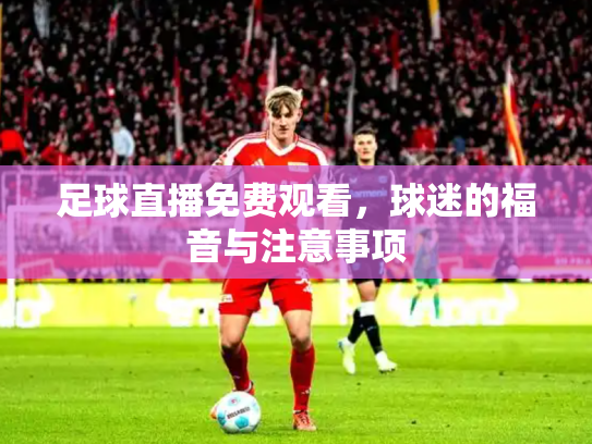 足球直播免费观看，球迷的福音与注意事项