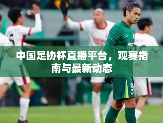 中国足协杯直播平台，观赛指南与最新动态