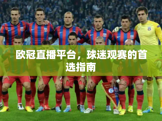 欧冠直播平台，球迷观赛的首选指南