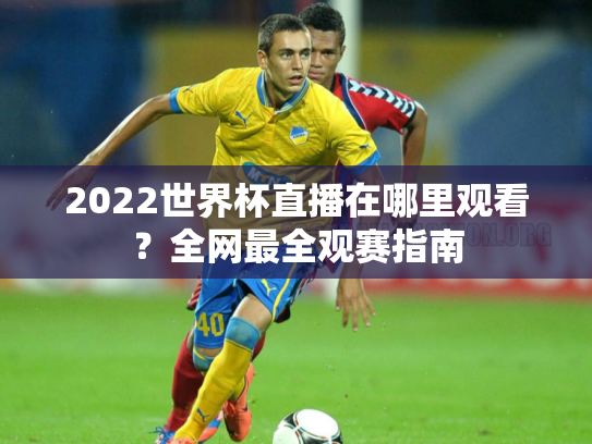 2022世界杯直播在哪里观看？全网最全观赛指南