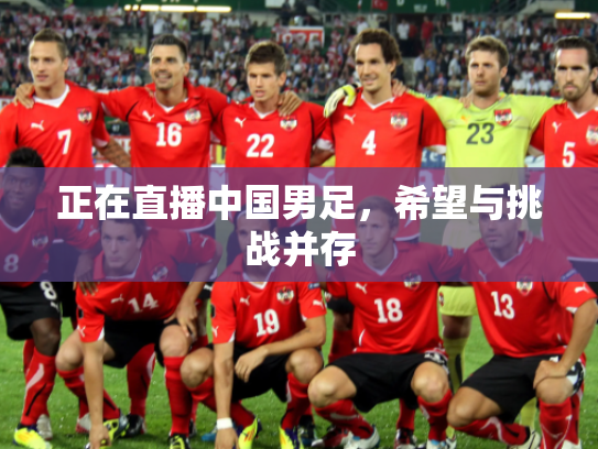 正在直播中国男足，希望与挑战并存