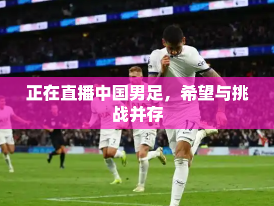 正在直播中国男足，希望与挑战并存