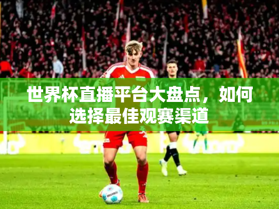 世界杯直播平台大盘点，如何选择最佳观赛渠道