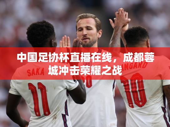 中国足协杯直播在线，成都蓉城冲击荣耀之战