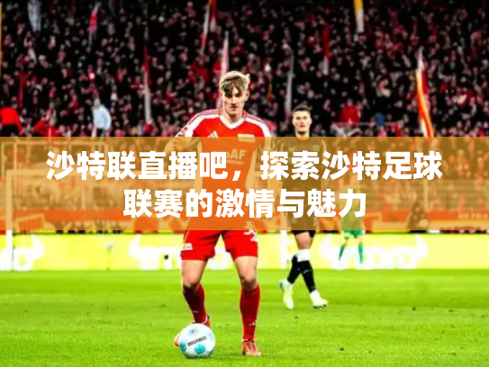 沙特联直播吧，探索沙特足球联赛的激情与魅力