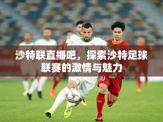 沙特联直播吧，探索沙特足球联赛的激情与魅力