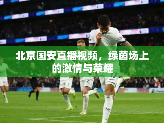 北京国安直播视频，绿茵场上的激情与荣耀