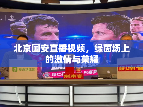 北京国安直播视频，绿茵场上的激情与荣耀