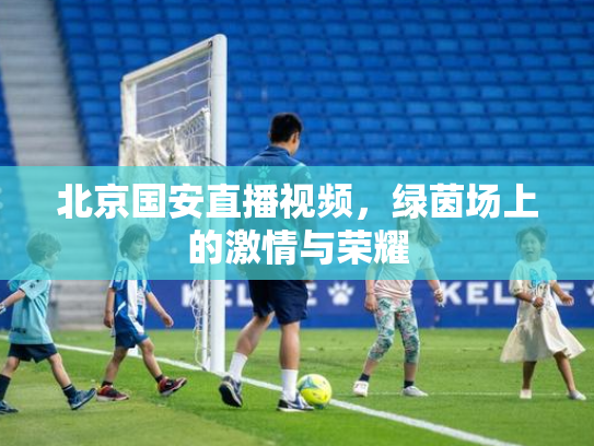 北京国安直播视频，绿茵场上的激情与荣耀