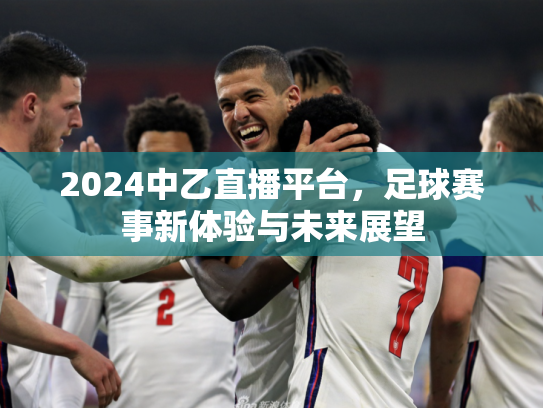 2024中乙直播平台，足球赛事新体验与未来展望