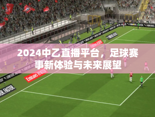 2024中乙直播平台，足球赛事新体验与未来展望