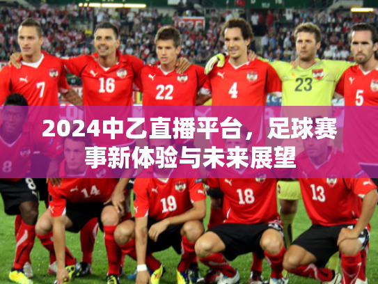 2024中乙直播平台，足球赛事新体验与未来展望
