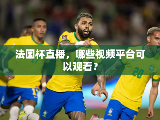 法国杯直播，哪些视频平台可以观看？