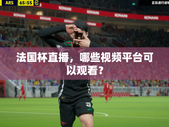 法国杯直播，哪些视频平台可以观看？