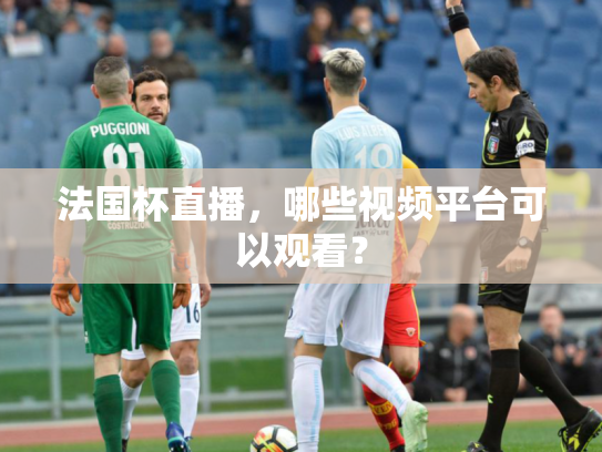 法国杯直播，哪些视频平台可以观看？