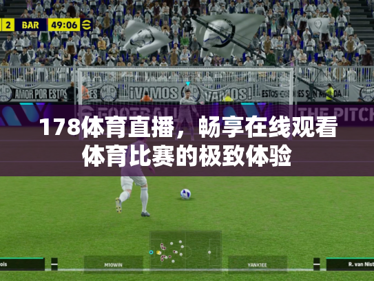178体育直播，畅享在线观看体育比赛的极致体验