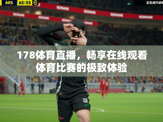 178体育直播，畅享在线观看体育比赛的极致体验