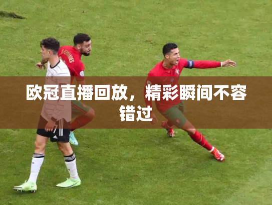 欧冠直播回放，精彩瞬间不容错过