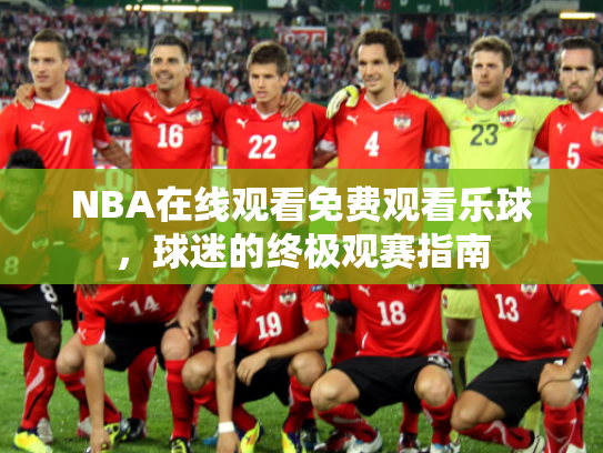 NBA在线观看免费观看乐球，球迷的终极观赛指南