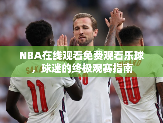 NBA在线观看免费观看乐球，球迷的终极观赛指南