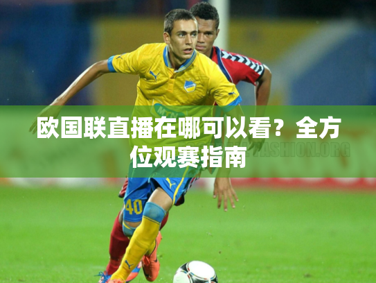 欧国联直播在哪可以看？全方位观赛指南