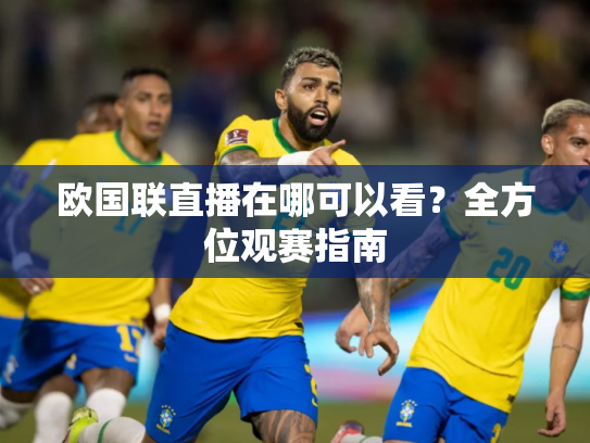 欧国联直播在哪可以看？全方位观赛指南