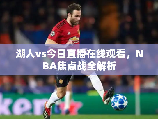湖人vs今日直播在线观看，NBA焦点战全解析
