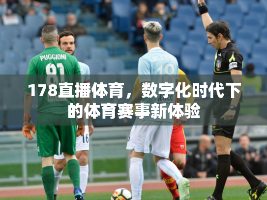 178直播体育，数字化时代下的体育赛事新体验