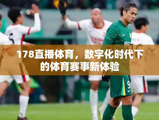178直播体育，数字化时代下的体育赛事新体验