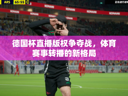 德国杯直播版权争夺战，体育赛事转播的新格局