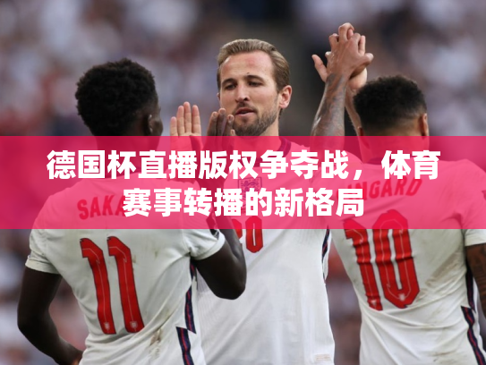 德国杯直播版权争夺战，体育赛事转播的新格局