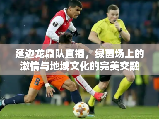 延边龙鼎队直播，绿茵场上的激情与地域文化的完美交融