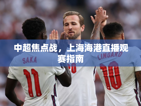 中超焦点战，上海海港直播观赛指南