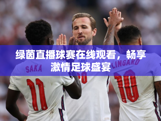 绿茵直播球赛在线观看，畅享激情足球盛宴