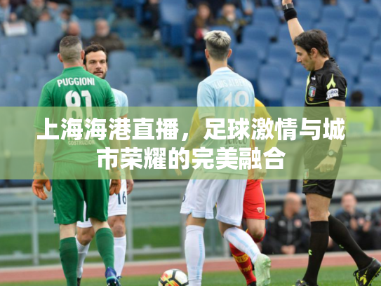 上海海港直播，足球激情与城市荣耀的完美融合