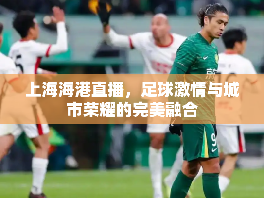 上海海港直播，足球激情与城市荣耀的完美融合