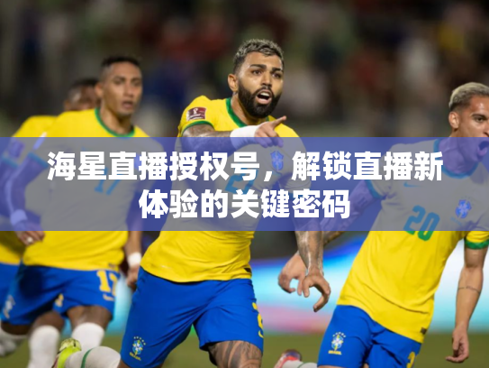 海星直播授权号，解锁直播新体验的关键密码