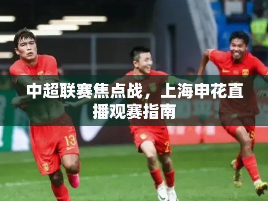中超联赛焦点战，上海申花直播观赛指南