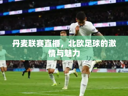 丹麦联赛直播，北欧足球的激情与魅力