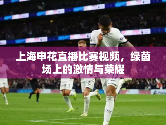 上海申花直播比赛视频，绿茵场上的激情与荣耀