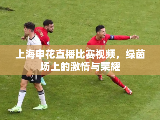 上海申花直播比赛视频，绿茵场上的激情与荣耀