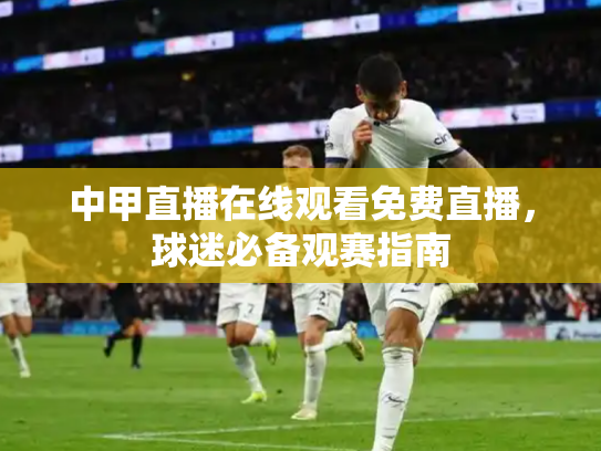 中甲直播在线观看免费直播，球迷必备观赛指南