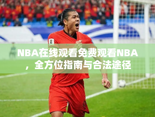 NBA在线观看免费观看NBA，全方位指南与合法途径