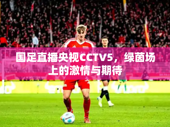 国足直播央视CCTV5，绿茵场上的激情与期待