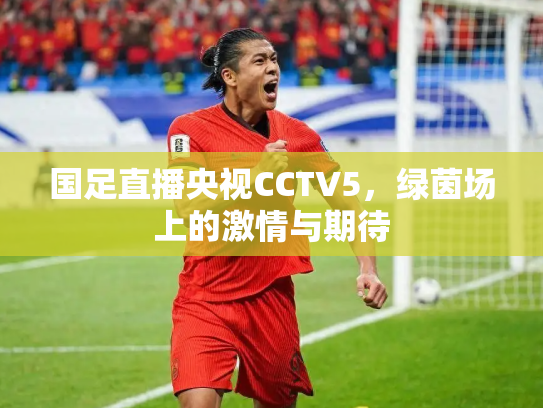 国足直播央视CCTV5，绿茵场上的激情与期待