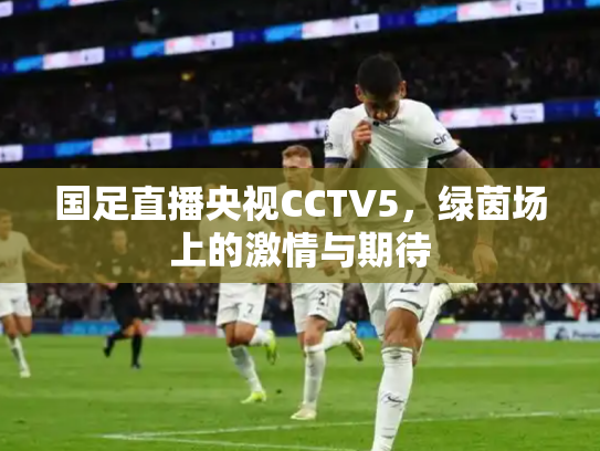 国足直播央视CCTV5，绿茵场上的激情与期待