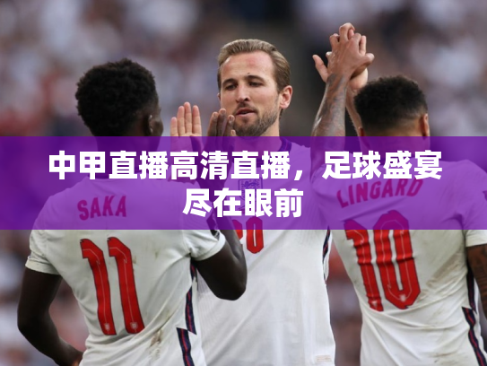 中甲直播高清直播，足球盛宴尽在眼前