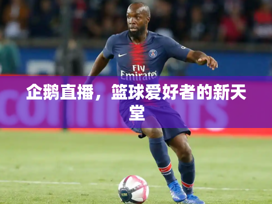 企鹅直播，篮球爱好者的新天堂